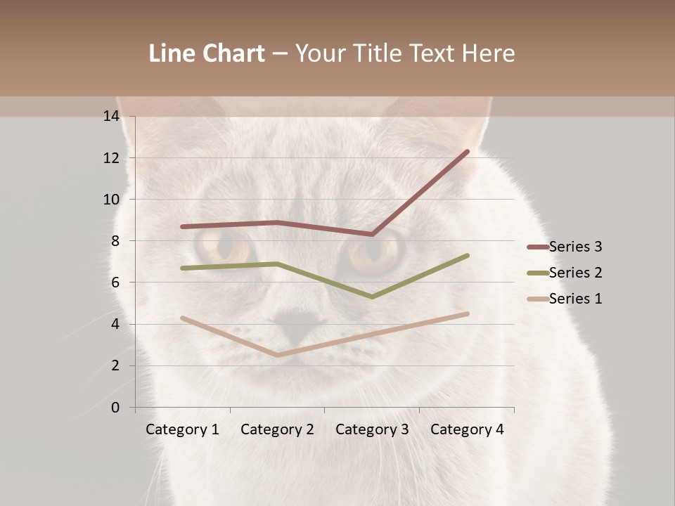 Humor Nobody Young PowerPoint Template