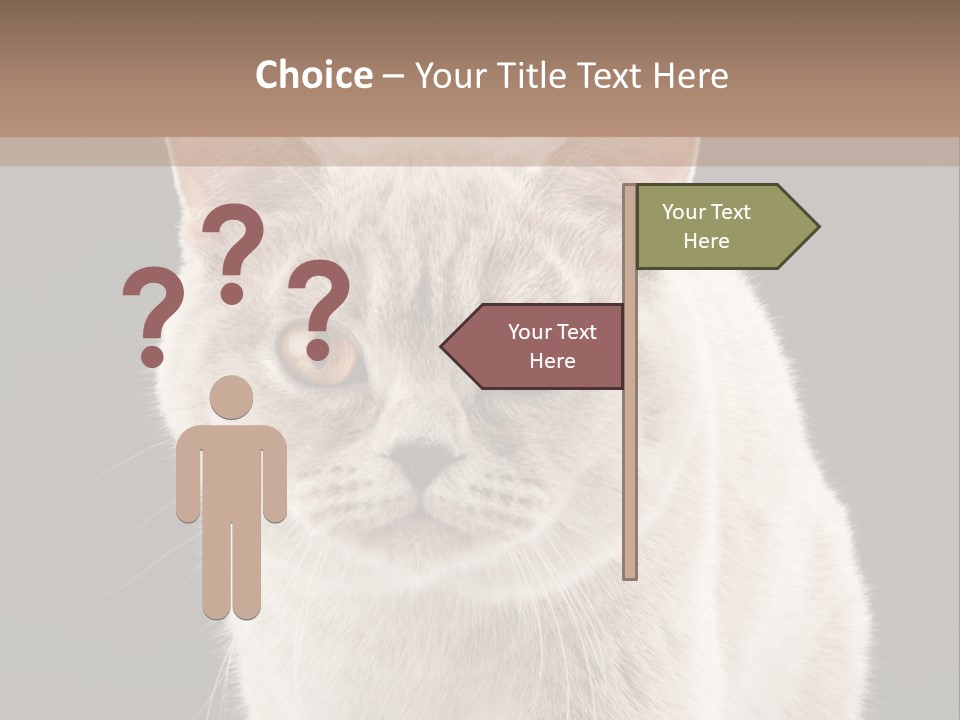 Humor Nobody Young PowerPoint Template
