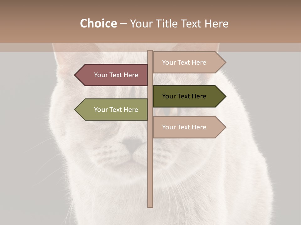 Humor Nobody Young PowerPoint Template