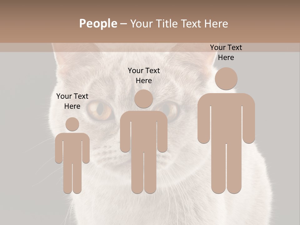 Humor Nobody Young PowerPoint Template