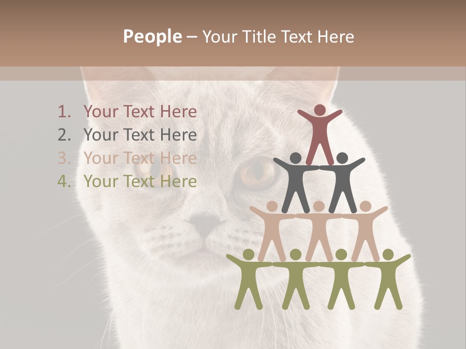 Humor Nobody Young PowerPoint Template