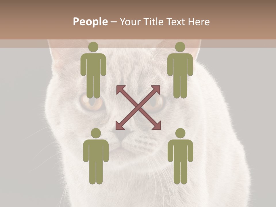 Humor Nobody Young PowerPoint Template