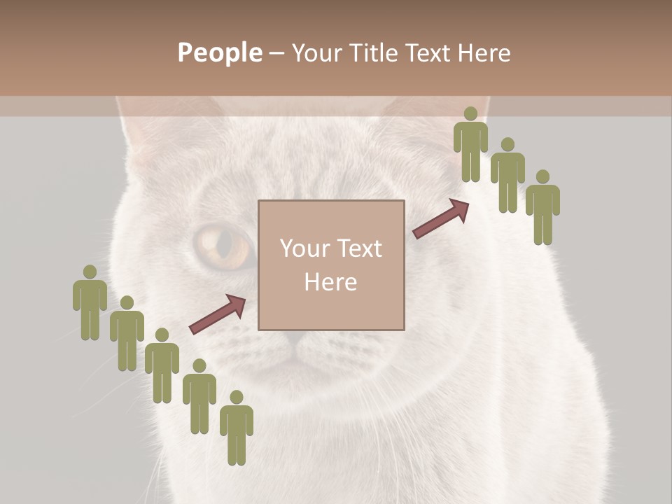 Humor Nobody Young PowerPoint Template