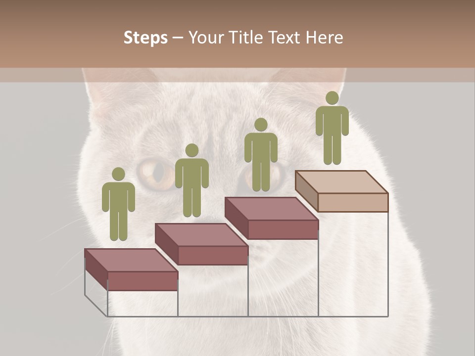 Humor Nobody Young PowerPoint Template