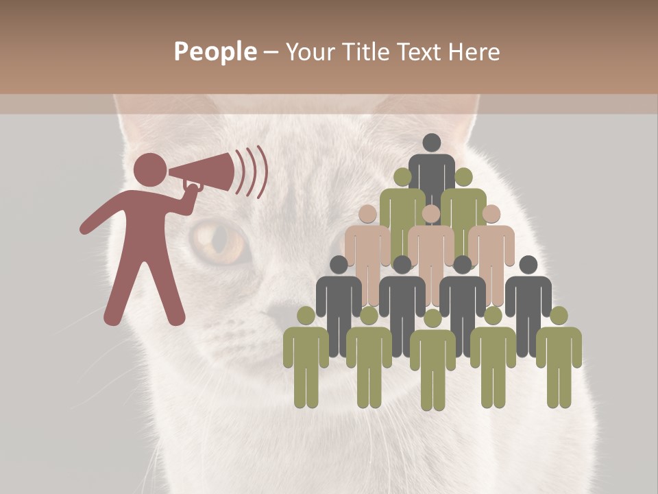 Humor Nobody Young PowerPoint Template