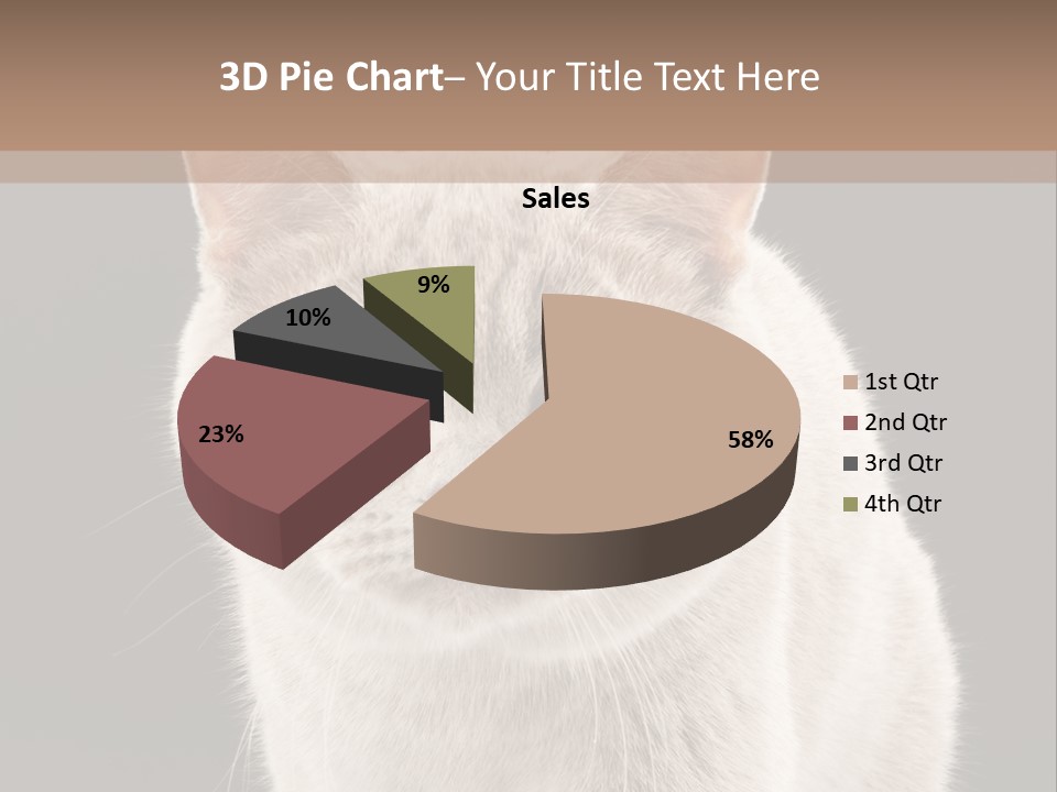 Humor Nobody Young PowerPoint Template