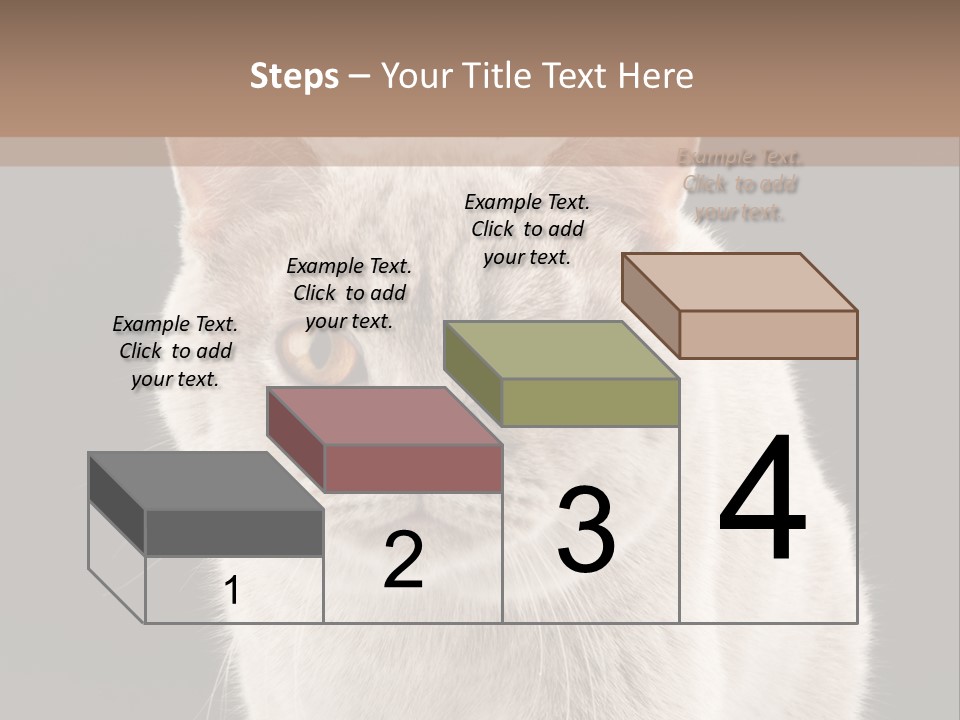 Humor Nobody Young PowerPoint Template