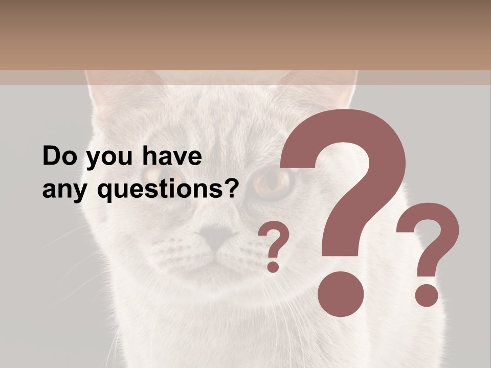 Humor Nobody Young PowerPoint Template