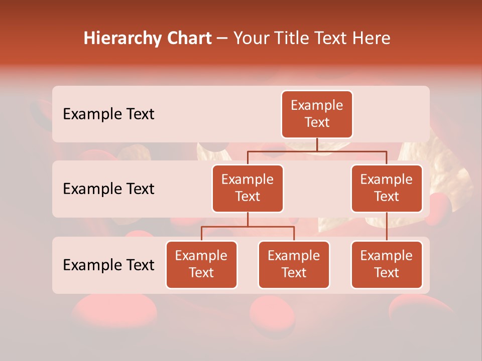 Oxygen Body Erythrocyte PowerPoint Template