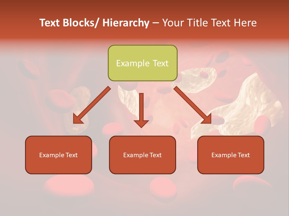 Oxygen Body Erythrocyte PowerPoint Template