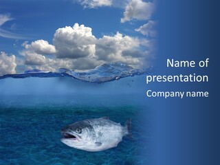 Lax Seafood Lunch PowerPoint Template