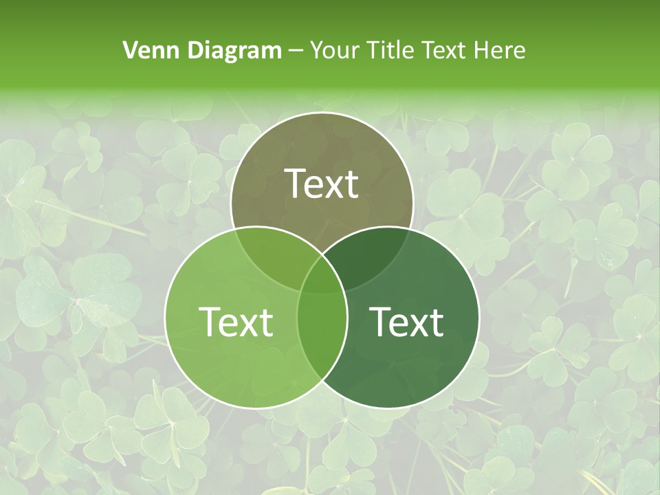 Growing Closeup Leaf PowerPoint Template