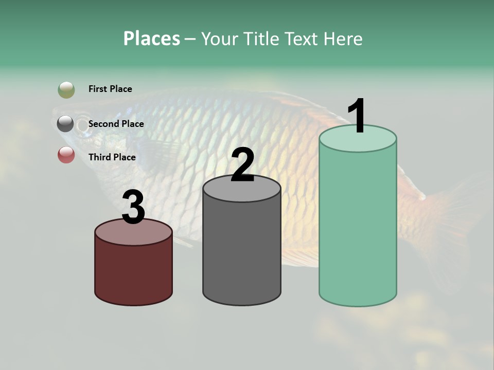 Nature Underwater Fish PowerPoint Template