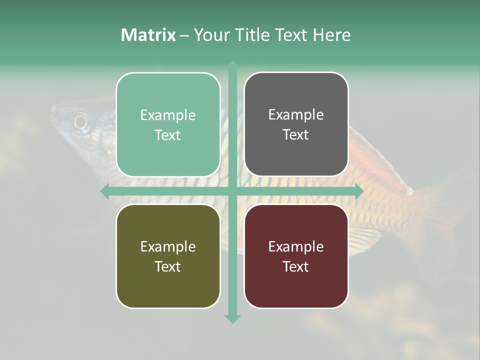 Nature Underwater Fish PowerPoint Template