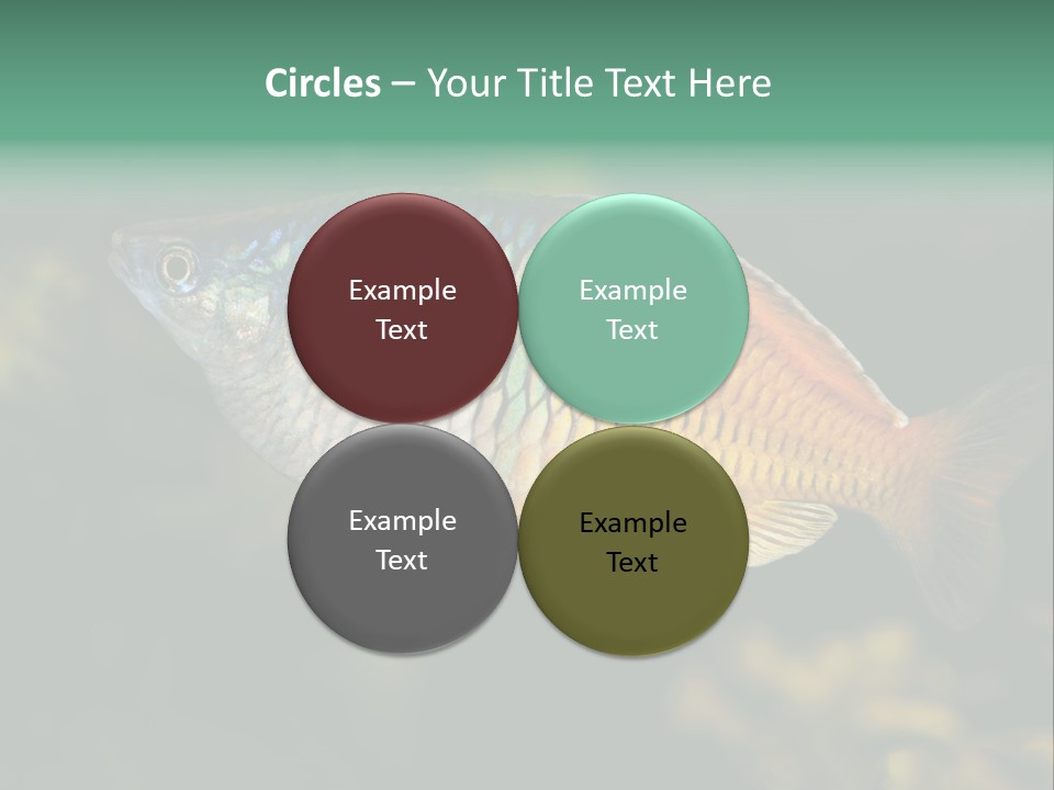 Nature Underwater Fish PowerPoint Template