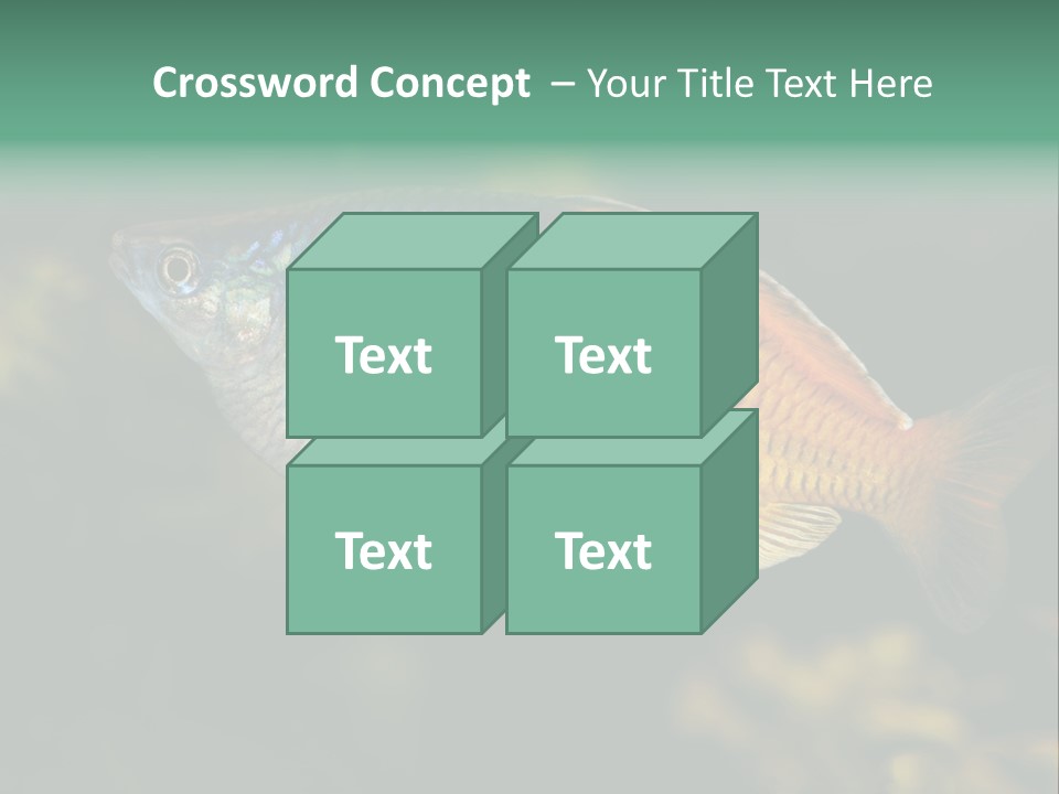 Nature Underwater Fish PowerPoint Template