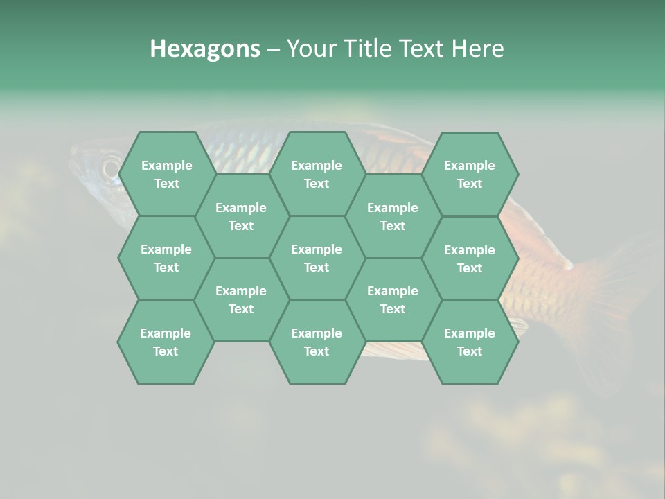 Nature Underwater Fish PowerPoint Template