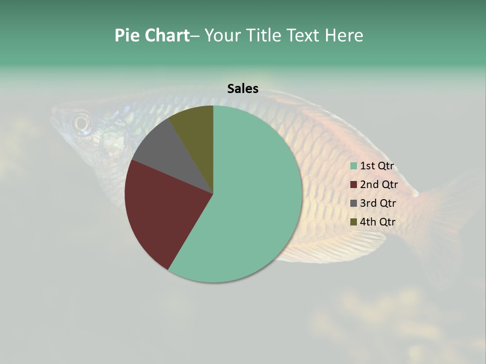 Nature Underwater Fish PowerPoint Template