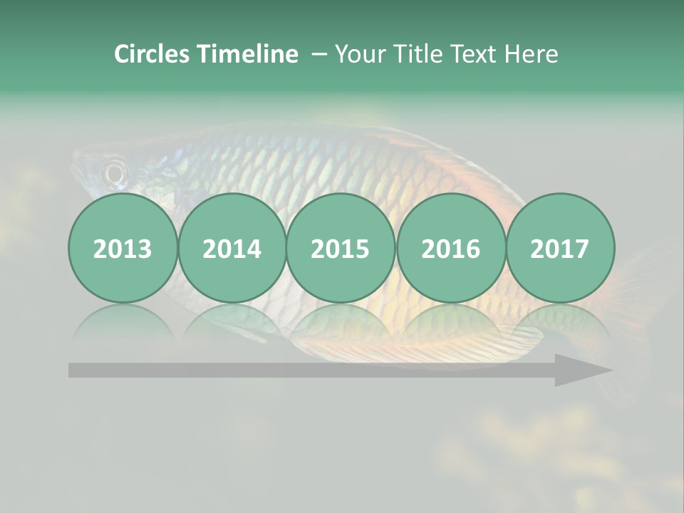 Nature Underwater Fish PowerPoint Template