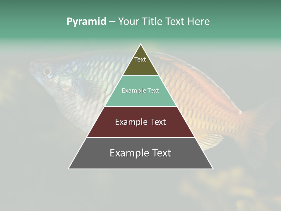 Nature Underwater Fish PowerPoint Template