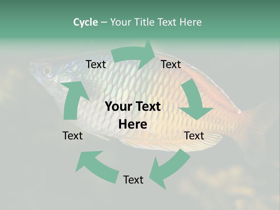 Nature Underwater Fish PowerPoint Template