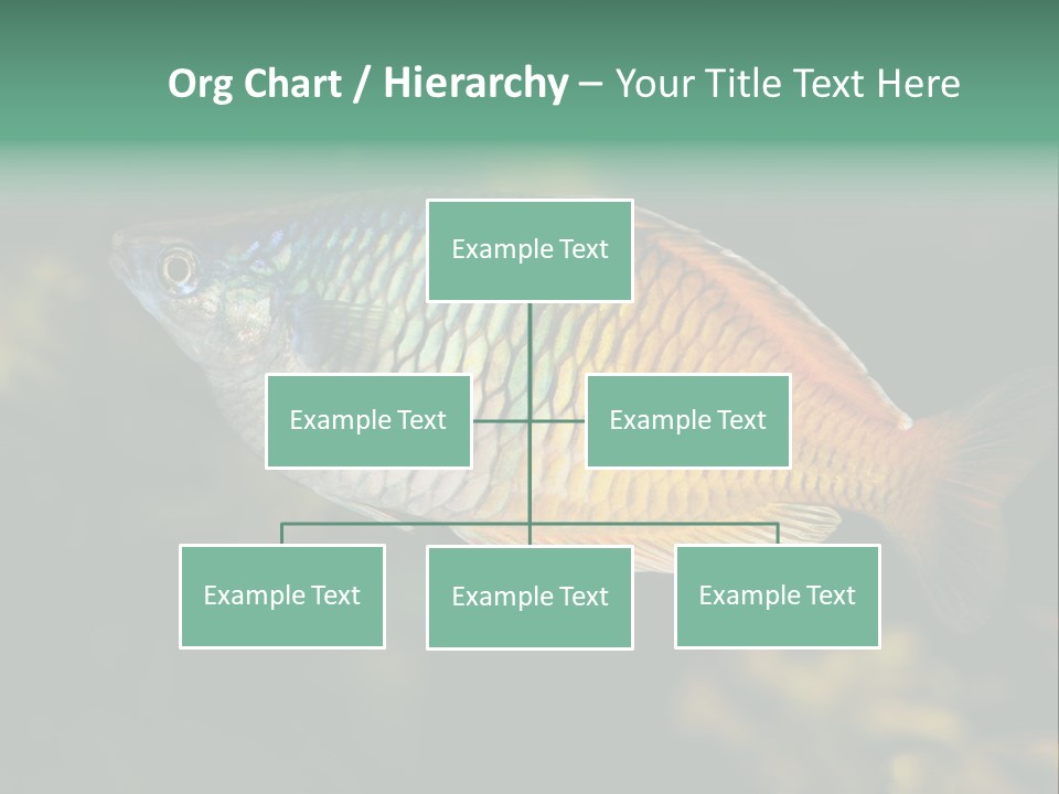 Nature Underwater Fish PowerPoint Template