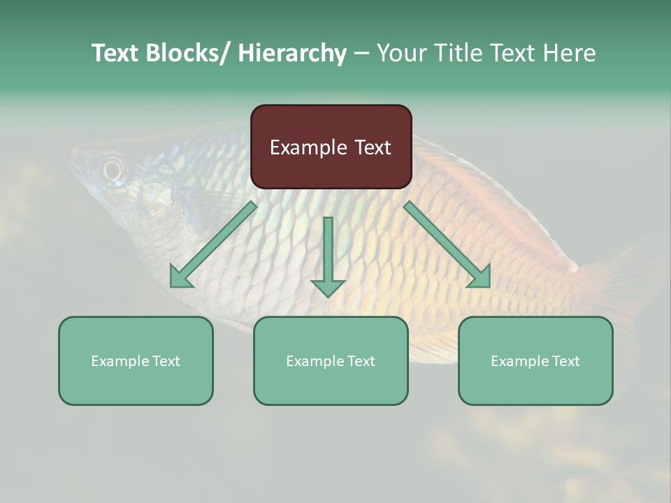 Nature Underwater Fish PowerPoint Template