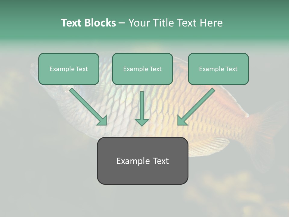Nature Underwater Fish PowerPoint Template
