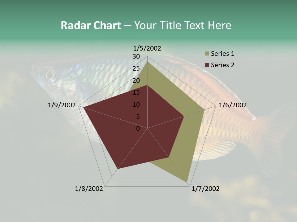 Nature Underwater Fish PowerPoint Template