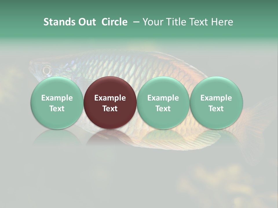 Nature Underwater Fish PowerPoint Template