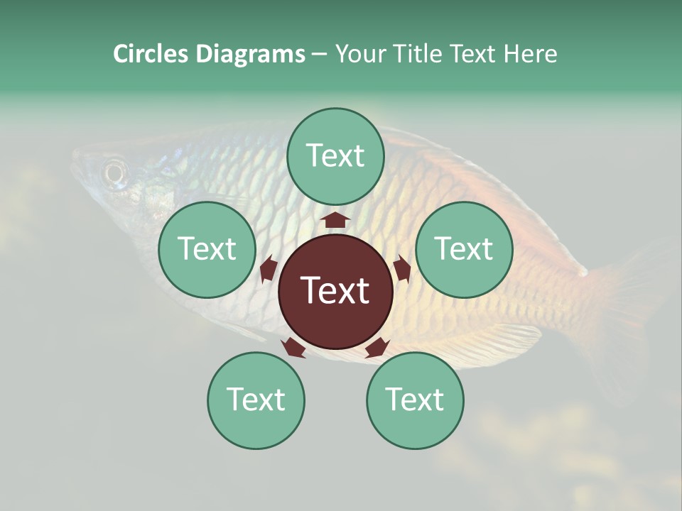 Nature Underwater Fish PowerPoint Template