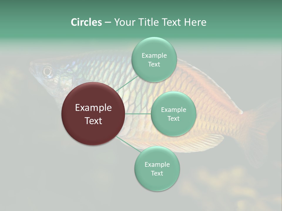 Nature Underwater Fish PowerPoint Template