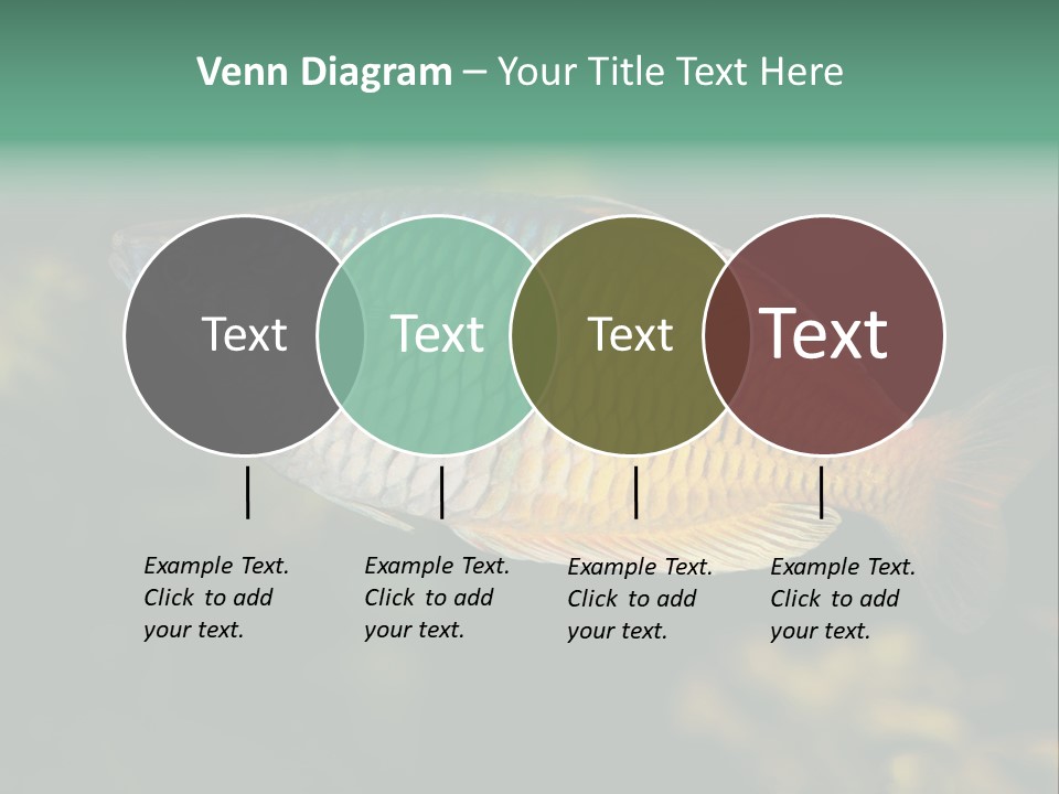 Nature Underwater Fish PowerPoint Template