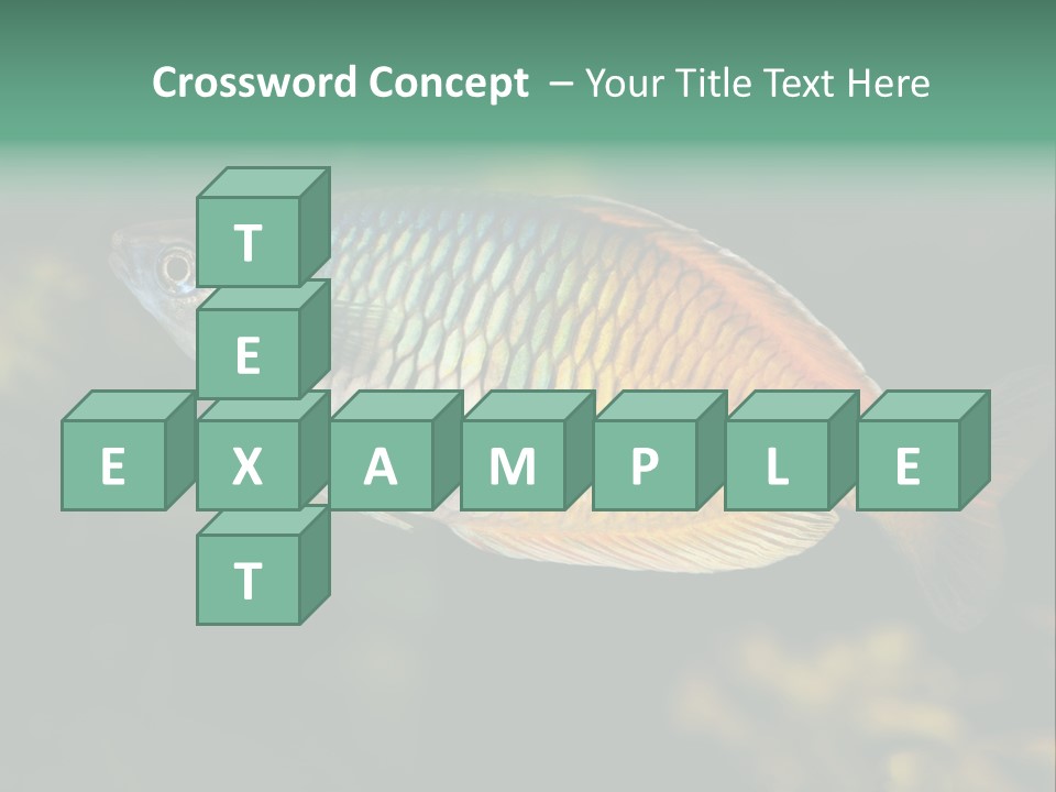 Nature Underwater Fish PowerPoint Template