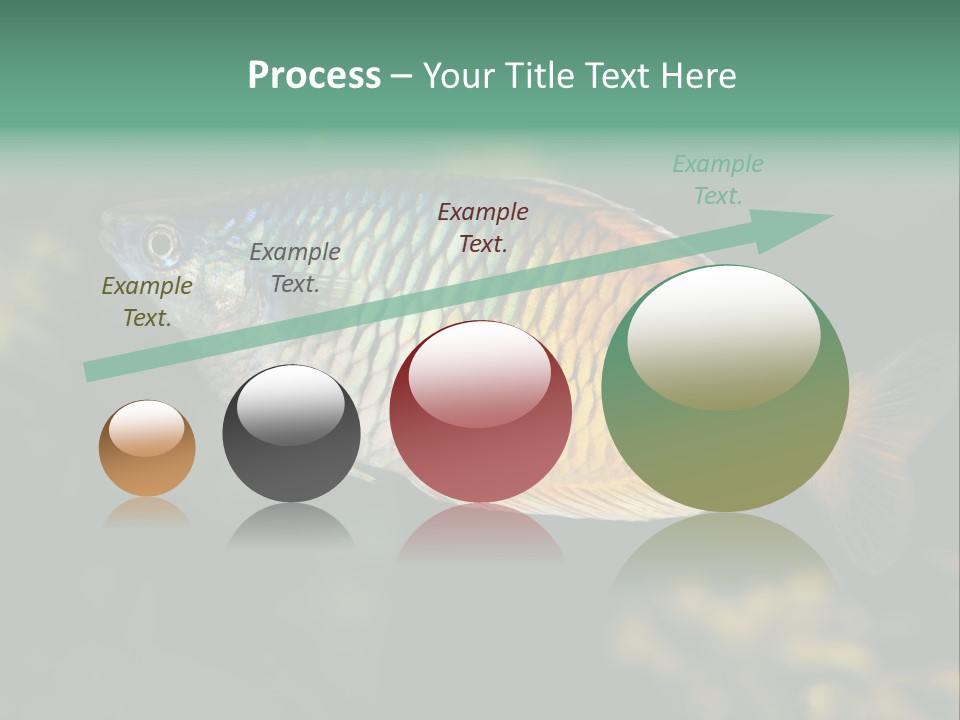 Nature Underwater Fish PowerPoint Template