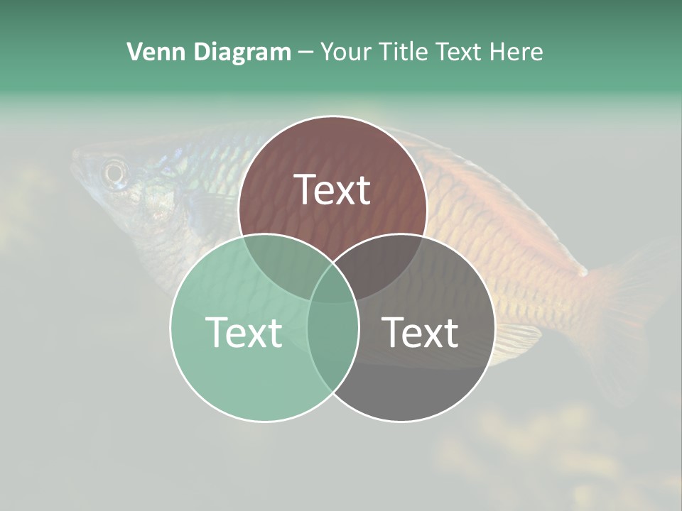 Nature Underwater Fish PowerPoint Template