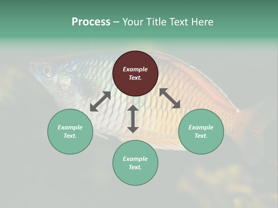 Nature Underwater Fish PowerPoint Template