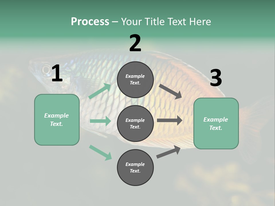 Nature Underwater Fish PowerPoint Template