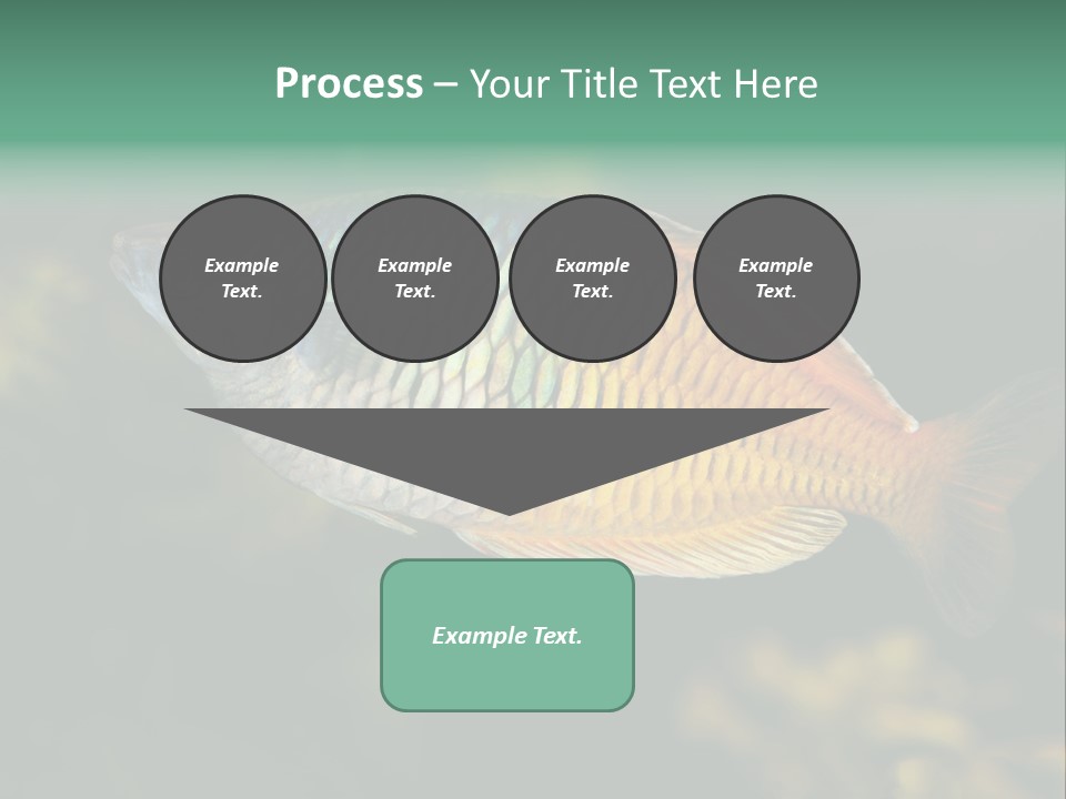 Nature Underwater Fish PowerPoint Template