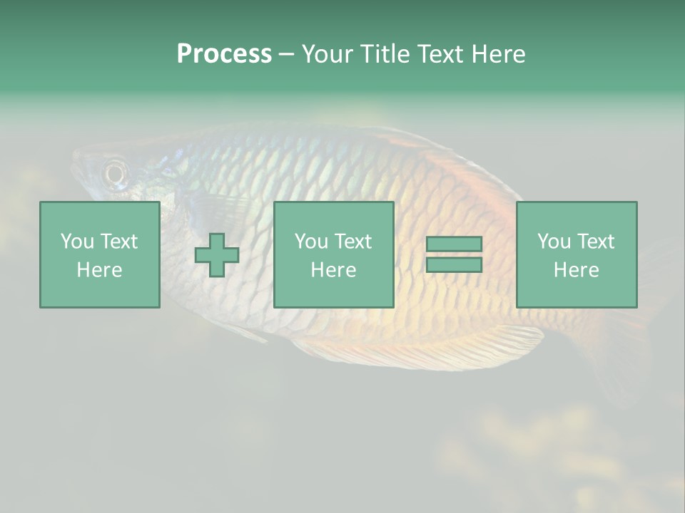 Nature Underwater Fish PowerPoint Template