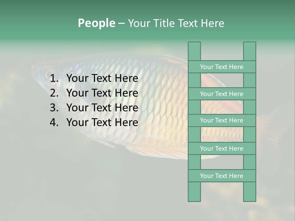 Nature Underwater Fish PowerPoint Template