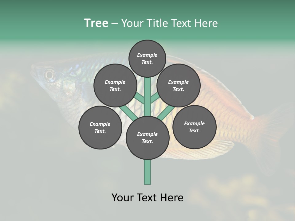 Nature Underwater Fish PowerPoint Template