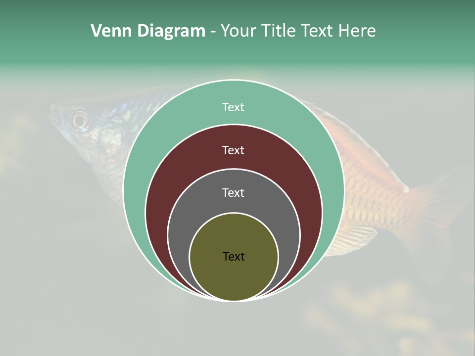 Nature Underwater Fish PowerPoint Template