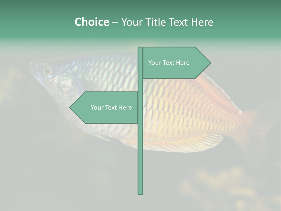 Nature Underwater Fish PowerPoint Template