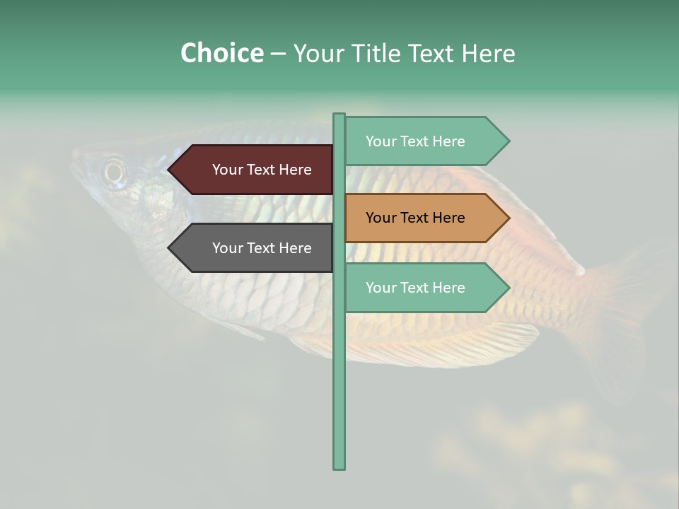 Nature Underwater Fish PowerPoint Template