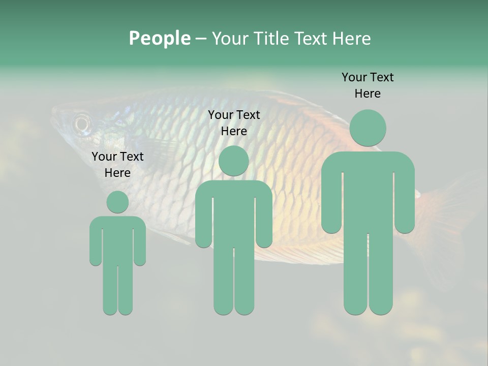 Nature Underwater Fish PowerPoint Template