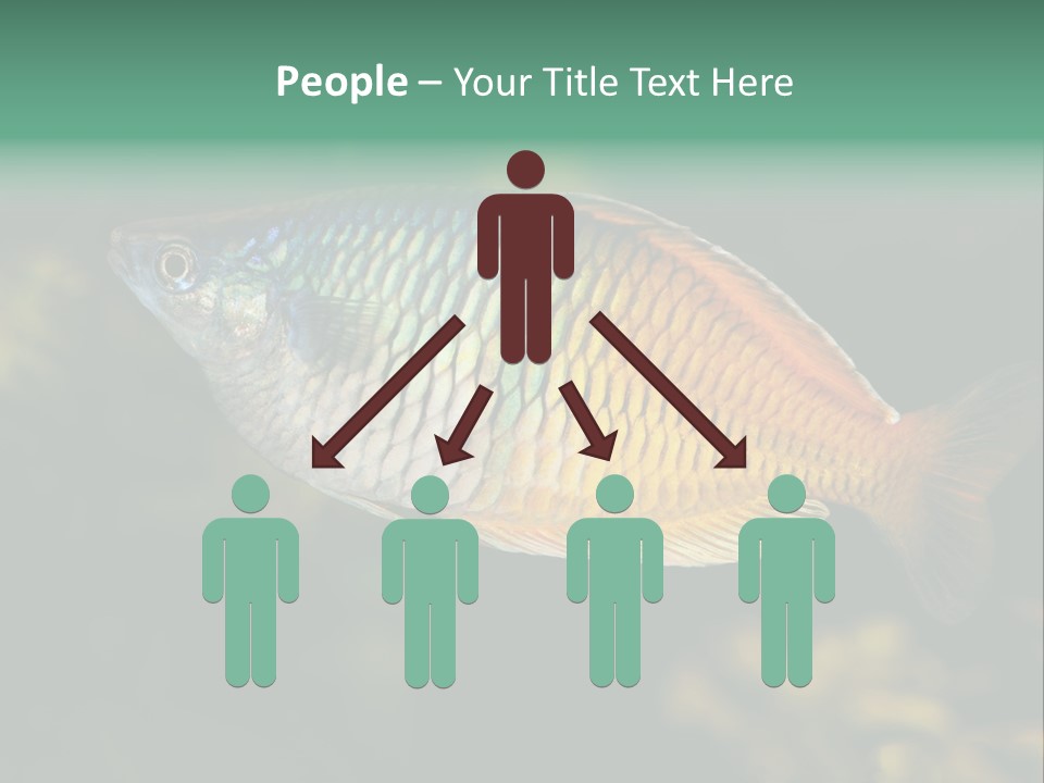 Nature Underwater Fish PowerPoint Template