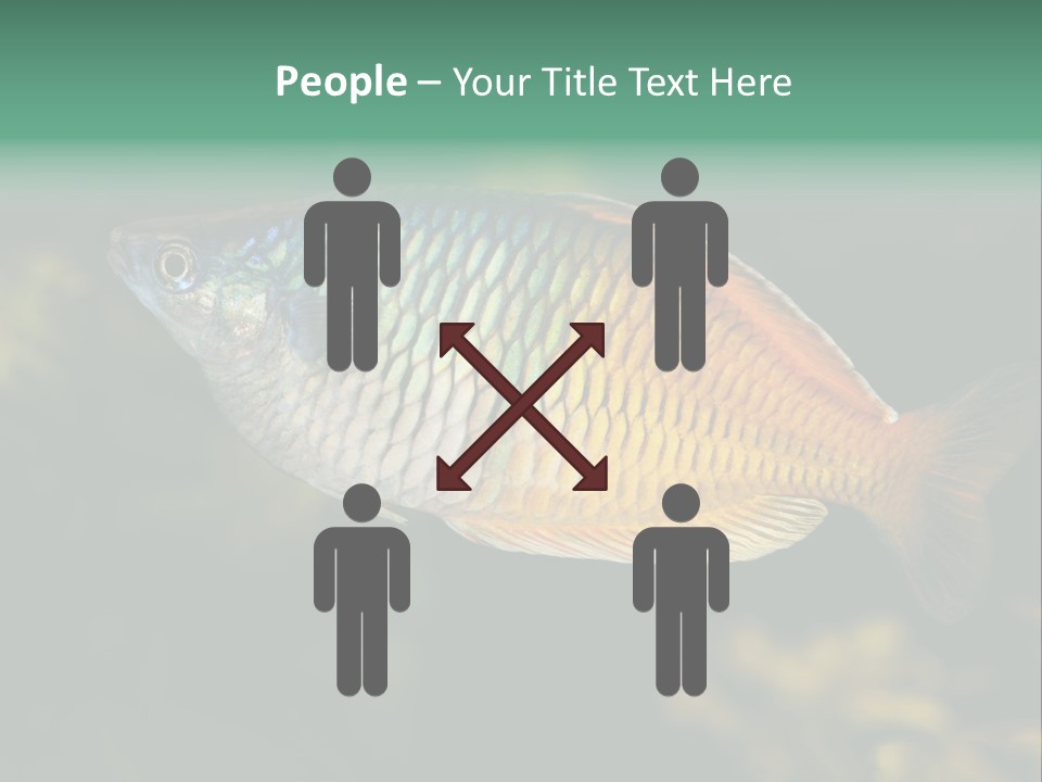 Nature Underwater Fish PowerPoint Template