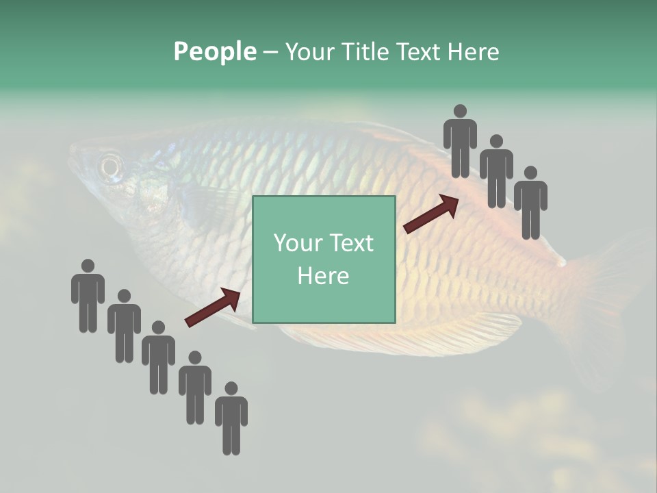Nature Underwater Fish PowerPoint Template