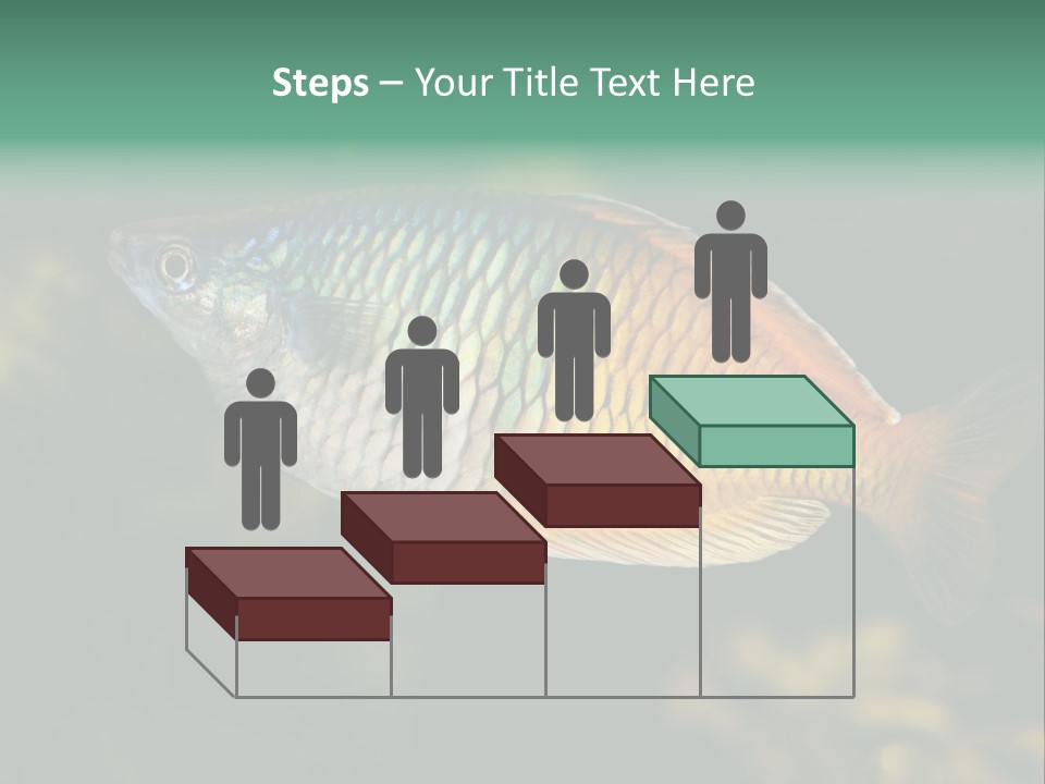 Nature Underwater Fish PowerPoint Template
